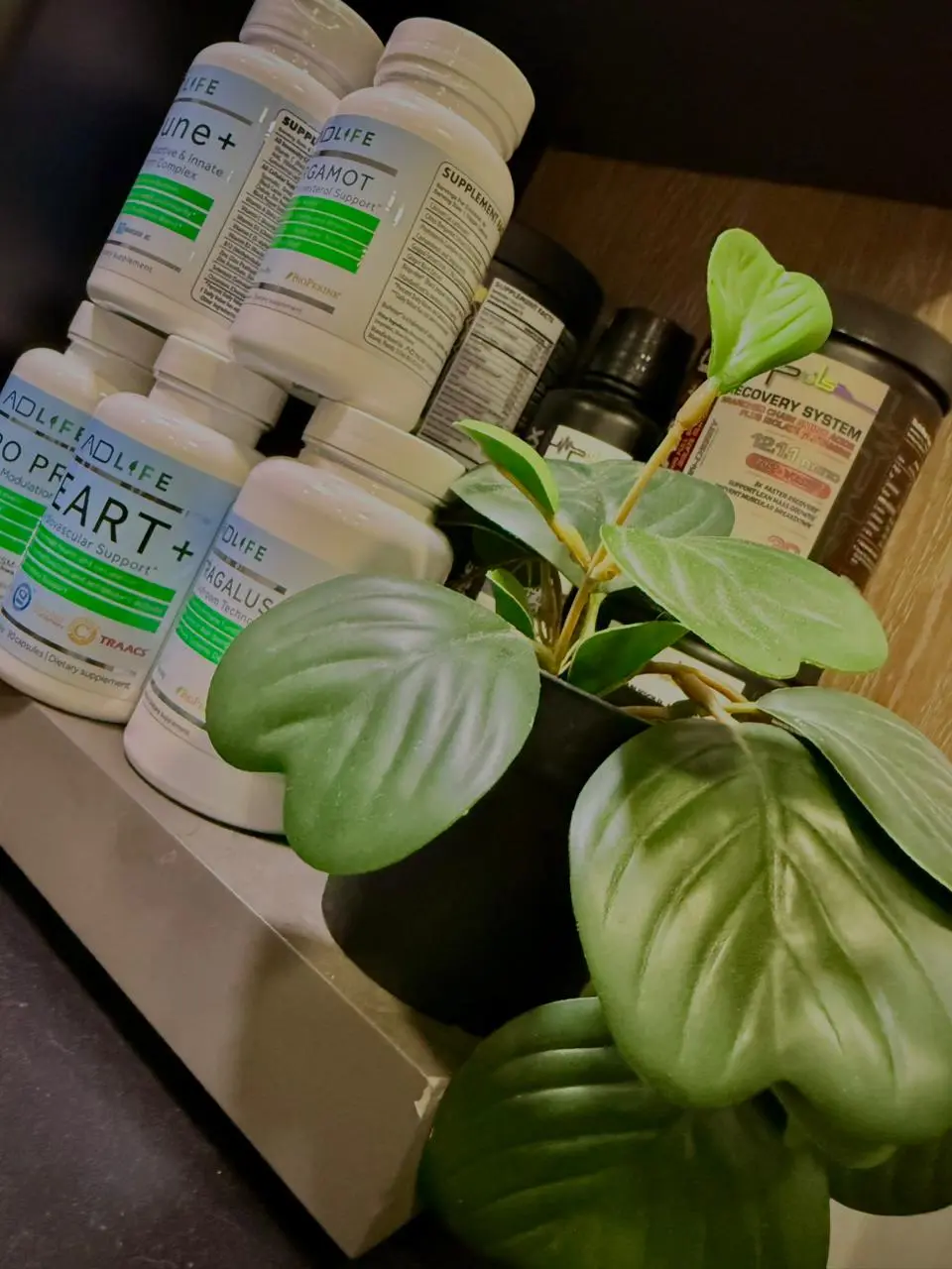 Proteína alta calidad