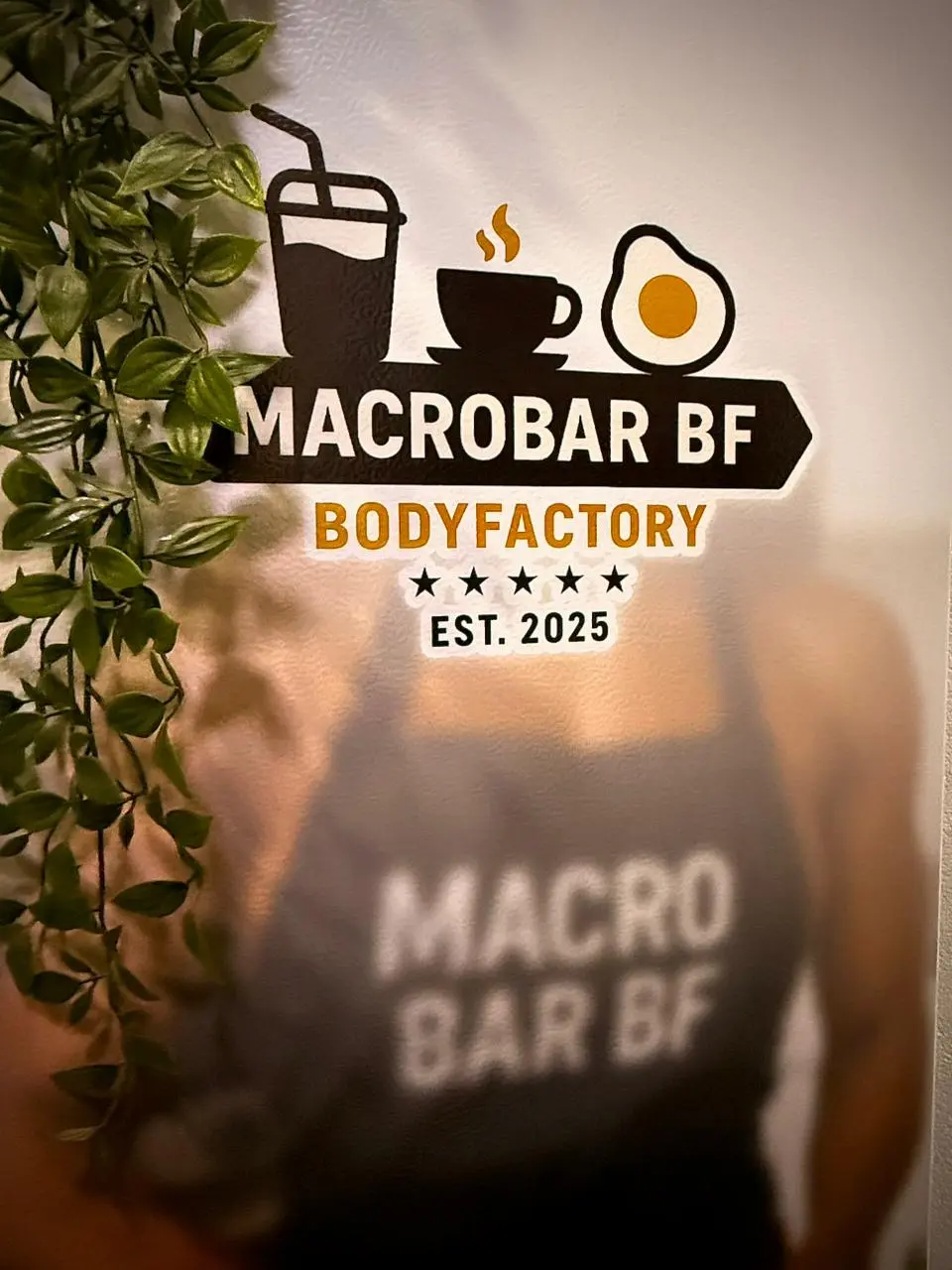 Nutrición funcional